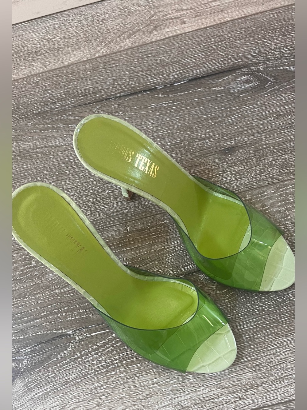 Paris Texas Lime Green Clear Slide Heels